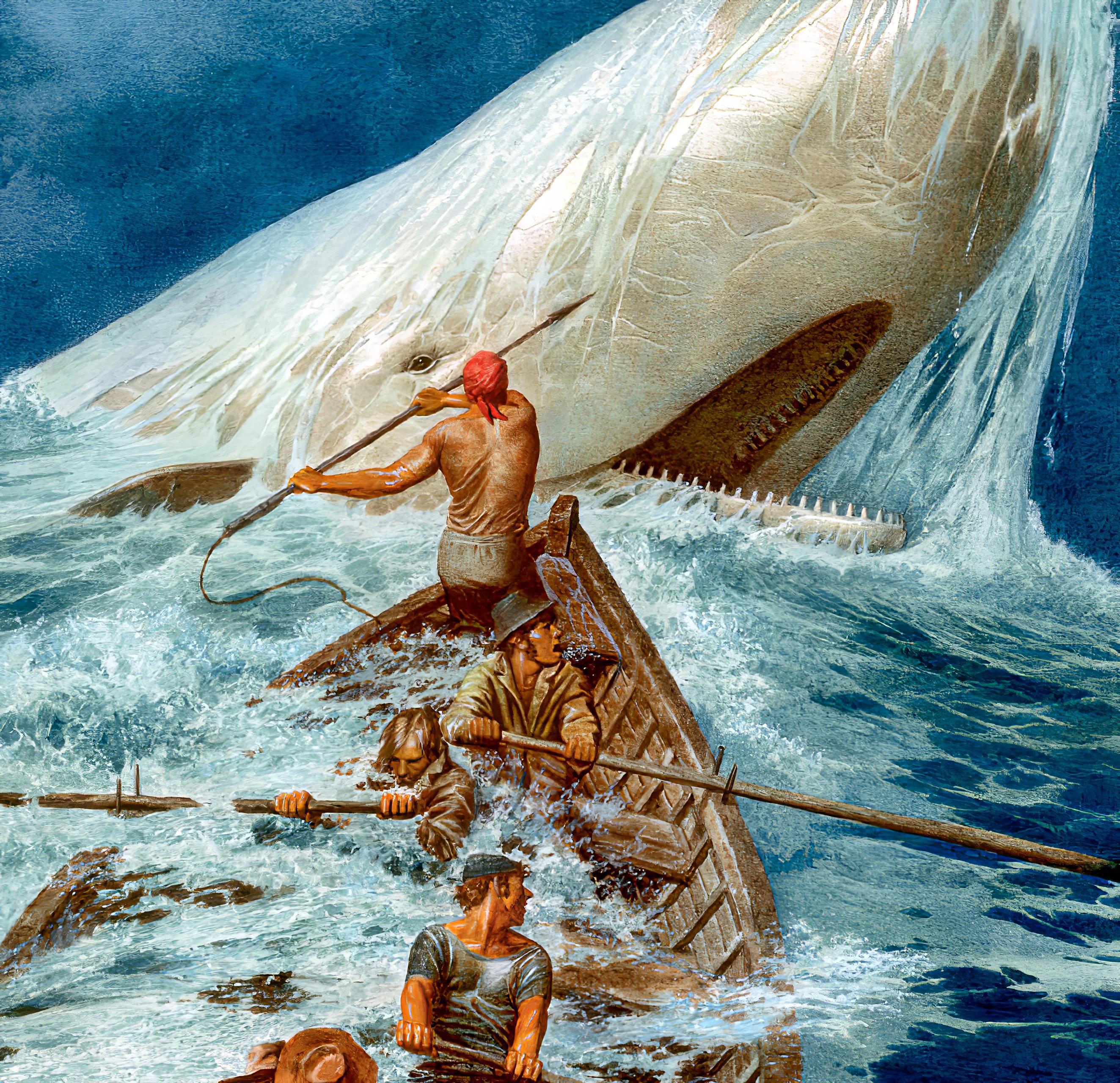 Book Moby Dick Or The Whale in French