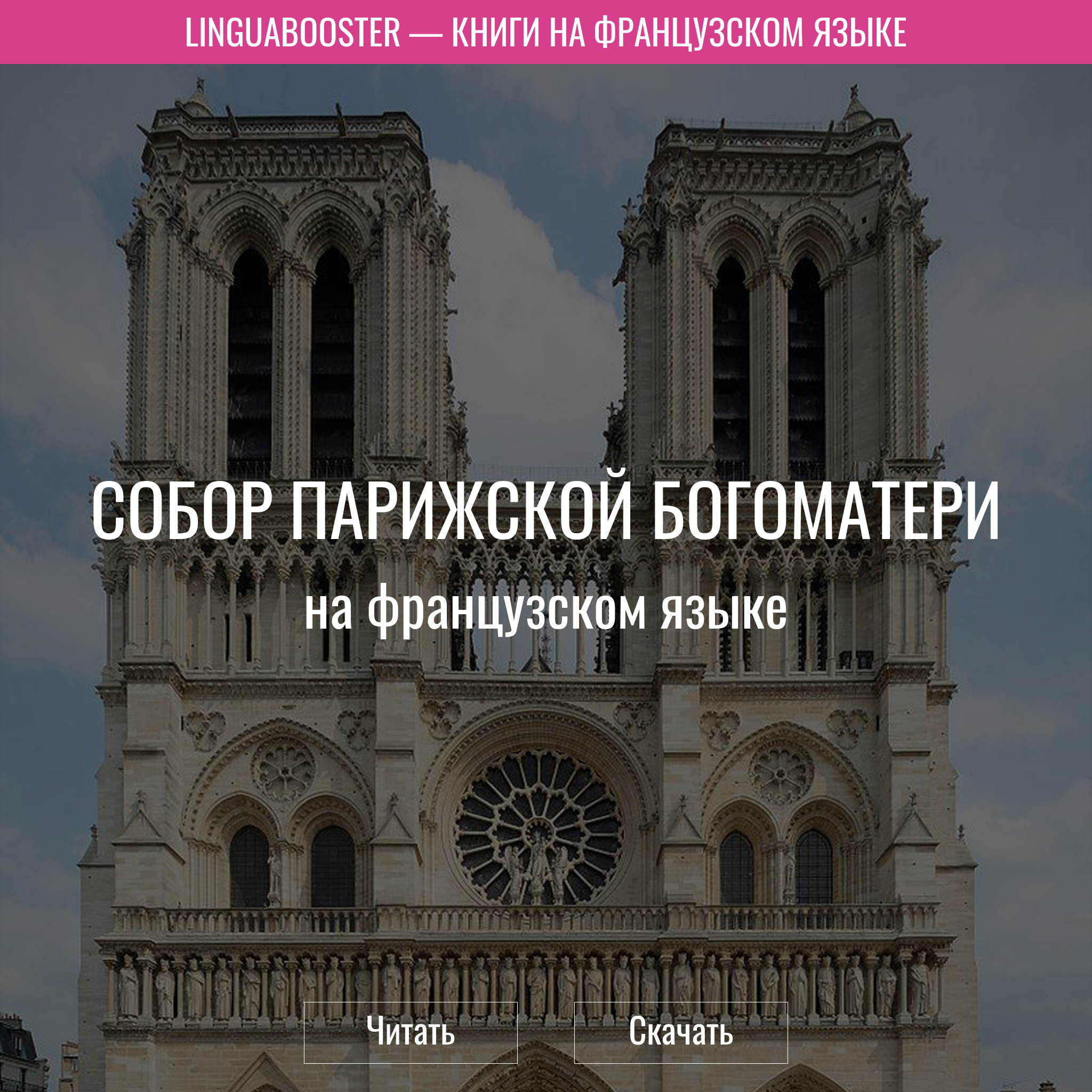 Читать книгу  «Собор Парижской Богоматери»